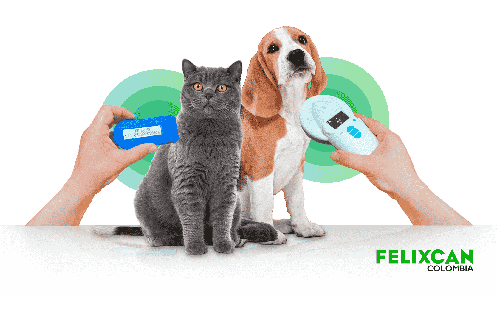 lector-microchip-radiofrecuencia-chip-mascotas-perro-gato-identificacion-colombia-iso-11784-11785-fdx-b-felixcan-datamars