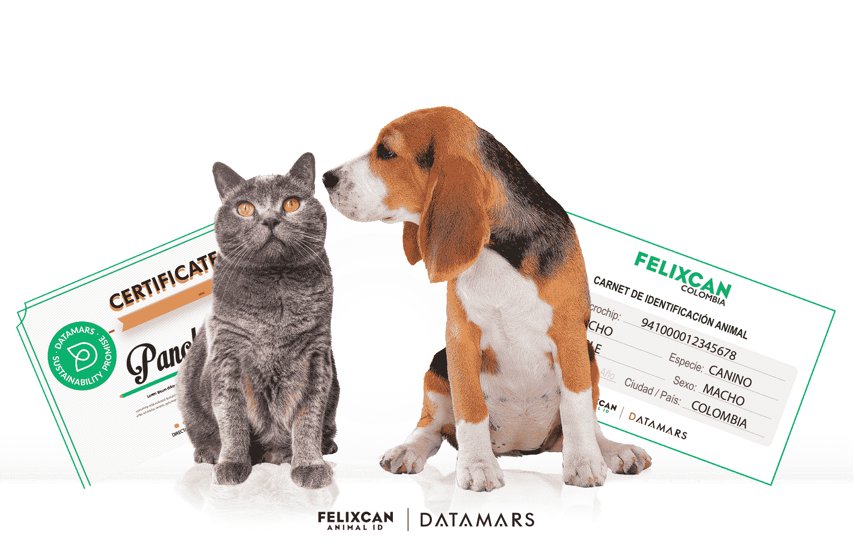 Microchips Mascotas - Felixcan Colombia